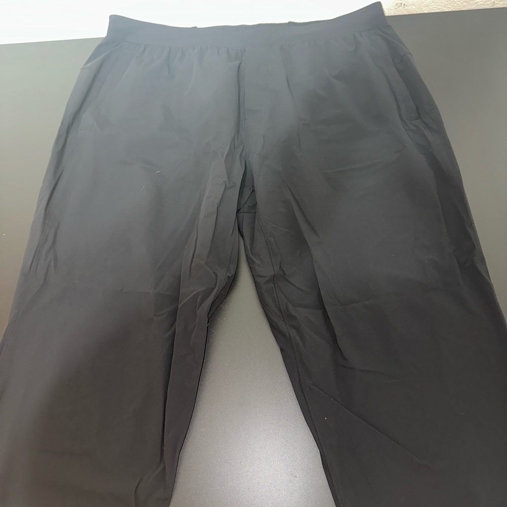 Lululemon Surge Jogger (Size XXL)